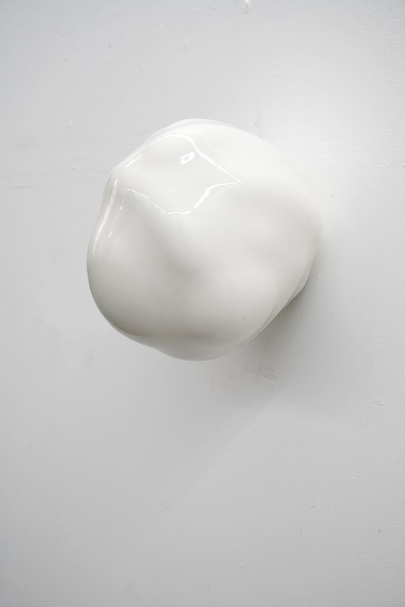 Hester Oerlemans, 'BLOB X35'