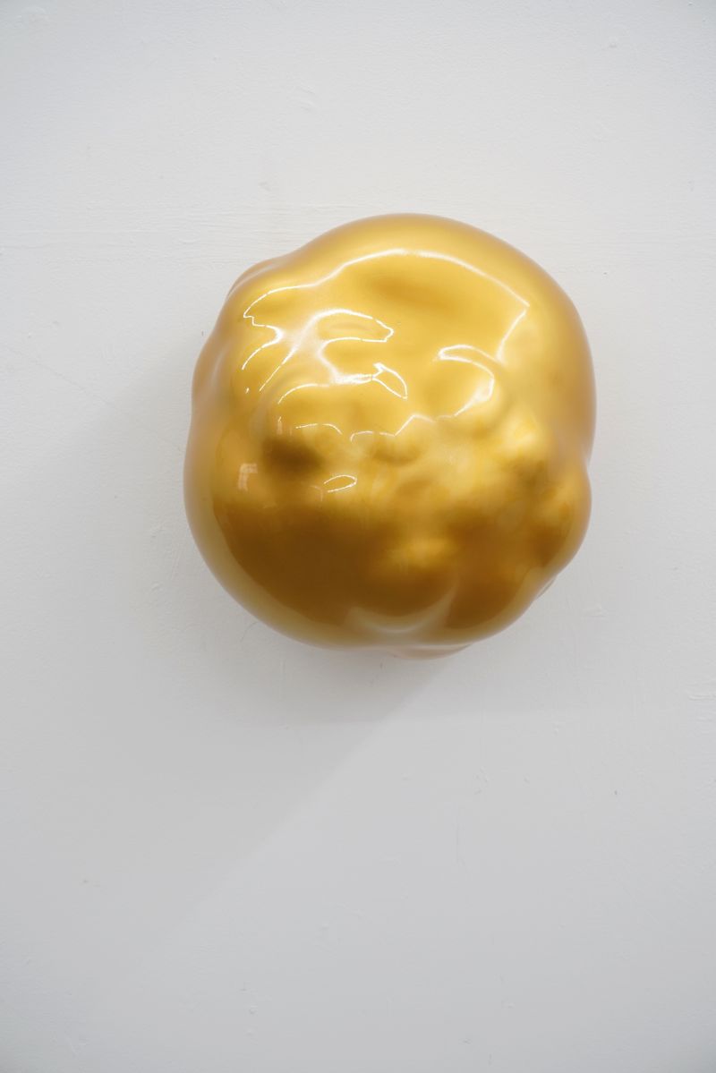 Hester Oerlemans, 'BLOB X35'