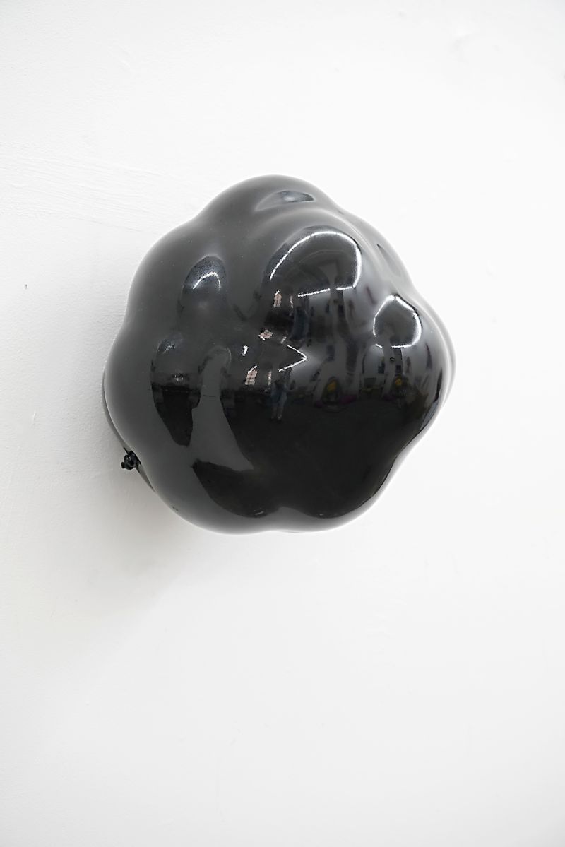 Hester Oerlemans, 'BLOB X35'